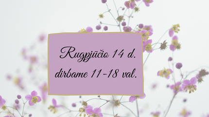 Lankytojų dėmesiui - rugpjūčio 14 d. dirbame viena valanda trumpiau