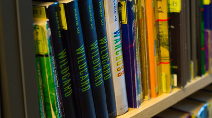 Projektai, suteikiantys bibliotekoms ir jų lankytojams realių galimybių tobulėti