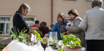 „Mainų sodas“: vilniečiai kviečiami dalintis sodinukais ir tvariomis idėjomis