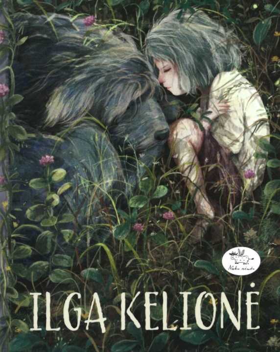 Ilga kelionė