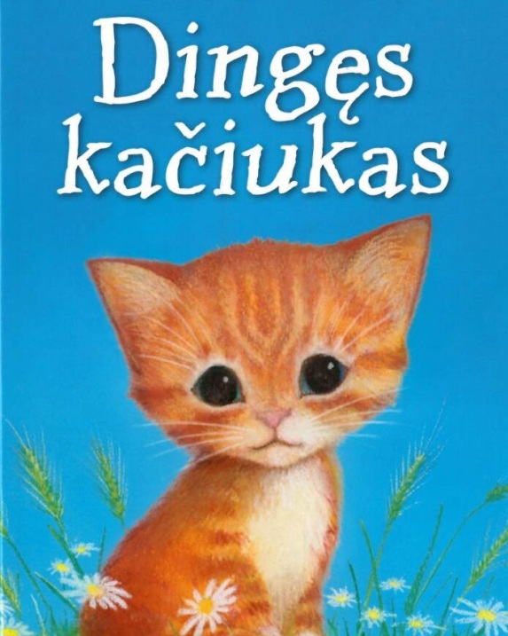Dingęs kačiukas