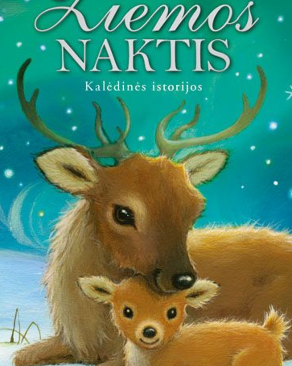 Žiemos naktis