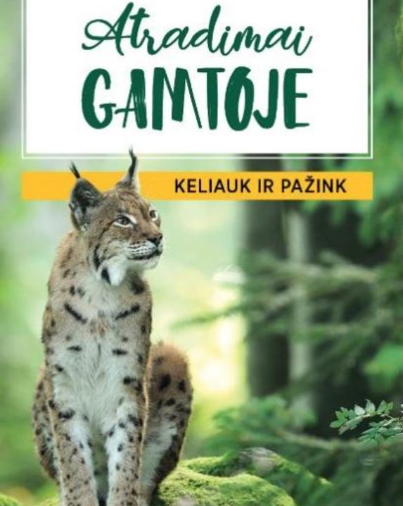 Atradimai gamtoje: keliauk ir pažink