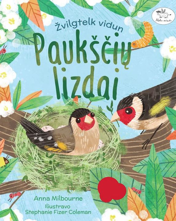 Paukščių lizdai