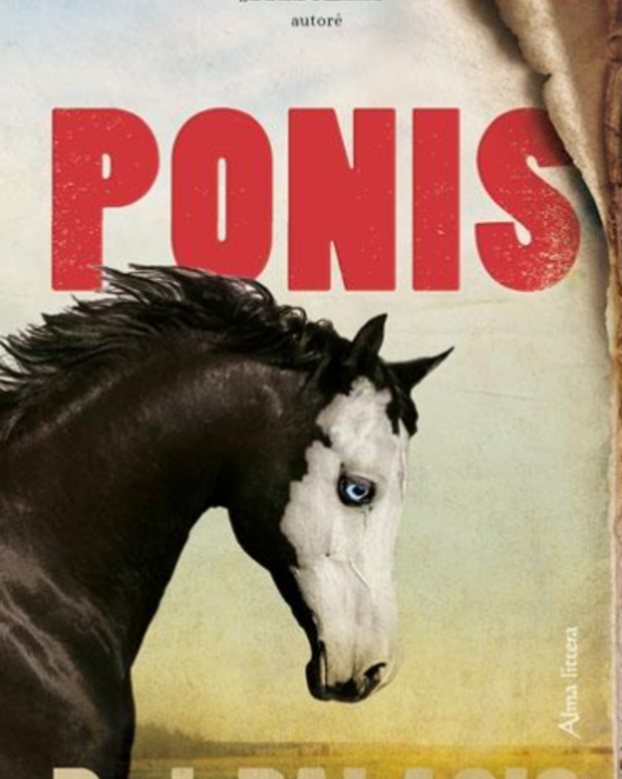 Ponis