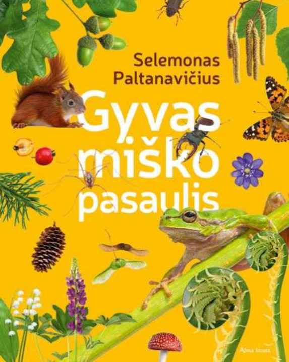 Gyvas miško pasaulis